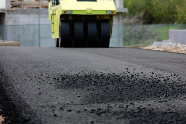 Best Driveway Paving Contractor  in Forest City, FL