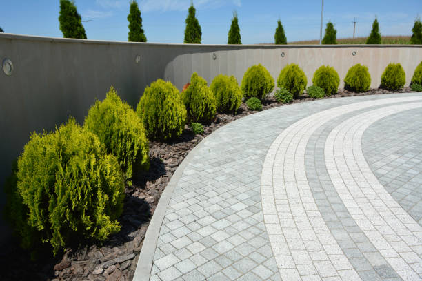 Best Residential Driveway Paver Services  in Forest City, FL